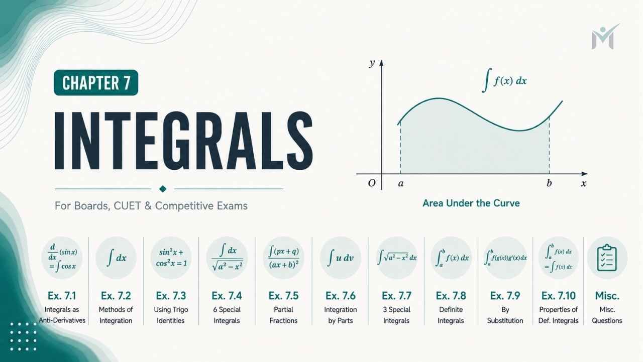 Integrals chapter banner showing area under a curve and integration concepts